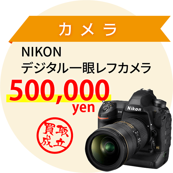 カメラ NIKON デジタル一眼レフカメラ 500,000yen